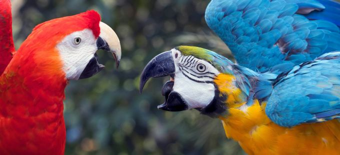 Titelbild: Was ist eigentlich ein Dissens?