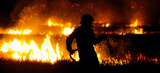 Titelbild: Waldbrände: „Der Krieg gegen das Feuer ist verloren, bevor er überhaupt begonnen hat“