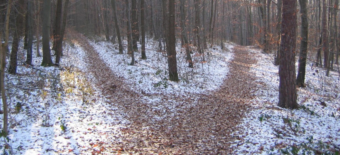 Titelbild: Exzessive Zukunftsorientierung als Ausdruck von zu viel Selbstkontrolle?