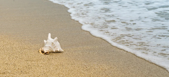 Titelbild: Was zieht uns an den Strand?