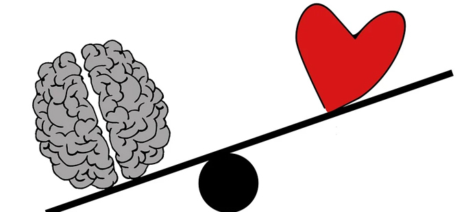 Titelbild: Herz Schlägt Hirn? Wie unser Verhalten gesteuert wird