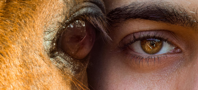 Titelbild: Für ein anderes Miteinander von Tier und Mensch