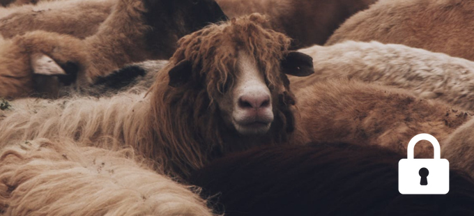 Titelbild: Dürfen wir andere Tiere benutzen?