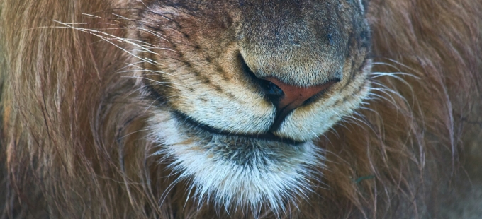 Titelbild: Epstein-Files: Die Philosophie elitärer Selbstermächtigung